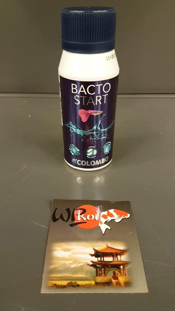 BACTO START 100 ml